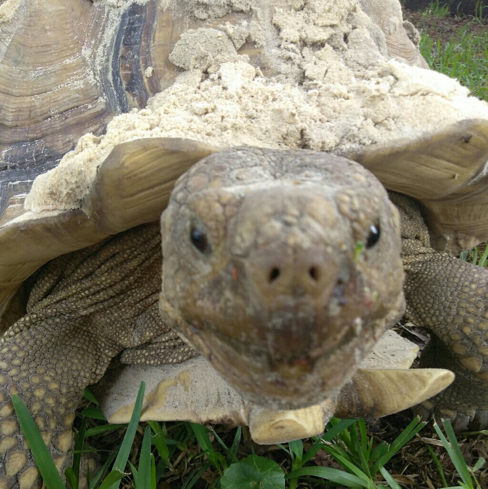 Meet your Posher, Stacey